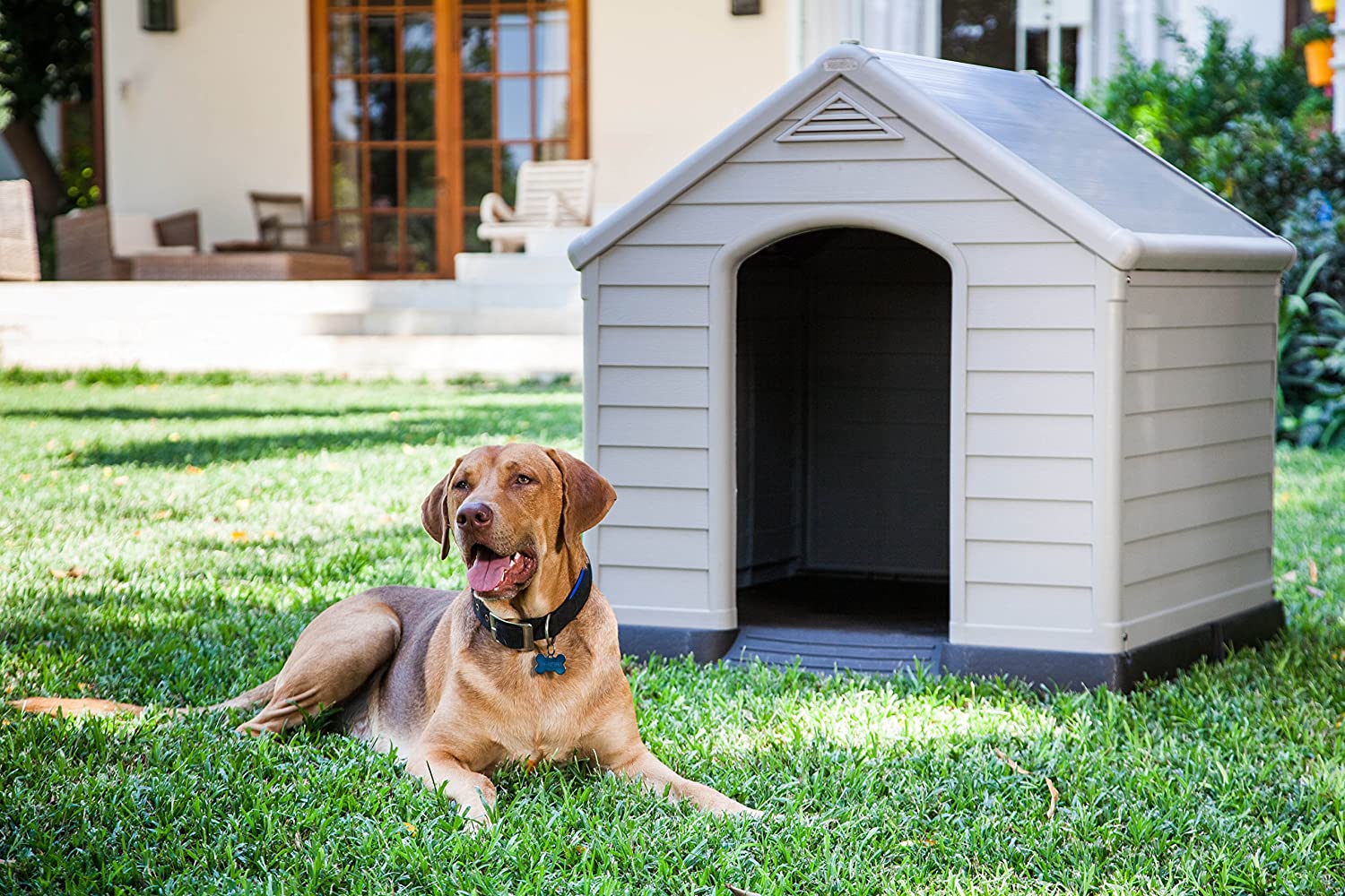 Caseta de perro Curver